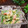 bobitin's cooksnap of when they made アボカドと水菜のサラダ☆カニカマ和え♪.
