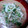 ケンキチ's cooksnap of when they made 大根とかいわれのマヨぽん和え.