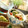 milk＊crown's cooksnap of when they made トマトとわかめのあえもの.