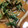 ぢぇいぢぇ's cooksnap of when they made 簡単！水菜の卵とじ.