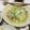 れきー's cooksnap of when they made 鯛の塩煮～料理のための清酒使用.