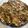 Spain's cooksnap of when they made 焼きナスの酢味噌マリネ.