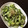 ポメちょん's cooksnap of when they made きゅうりと青じそのさっぱり炒め.