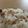 きよぽーーん's cooksnap of when they made 炊きたてご飯にどうぞ♪　肉みそ.