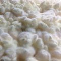 Ｓｅｔｈ２２５'s cooksnap of when they made 「種麹or友麹で、自家製麹」の作り方記録.