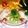 〜みみ〜's cooksnap of when they made 三つ葉のアンチョビソース塩昆布冷製パスタ.