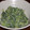 ズボラおかん's cooksnap of when they made ほうれんそう☆ごまマヨ和え.