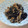 のじまさん's cooksnap of when they made ＊春菊とえのきの煮びたし＊.