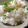 ぴっちい's cooksnap of when they made 簡単♪らくちん♪ツナごはん♪.