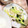 おいも母's cooksnap of when they made ささみと長ネギのごま油和え.