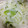 かんな＞＜'s cooksnap of when they made アボカドと玉ねぎのマヨ和え.