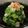 PARNELL's cooksnap of when they made 白菜の梅わさびサラダ.