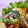 にゃぁくん's cooksnap of when they made ほうれん草の炒りたマヨ和え.