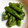 saku0655's cooksnap of when they made ししとうのごま油炒め.