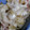 うずタマ's cooksnap of when they made ジャガイモのマヨチーズ焼き.