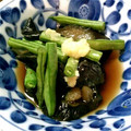 夜のねこめし's cooksnap of when they made なすびといんげんのくたくた煮.