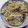 おから星人's cooksnap of when they made 骨まで食べる！焼き秋刀魚の炊込みご飯.