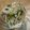 INAneBA's cooksnap of when they made ❀もやしときゅうり塩昆布ﾅﾑﾙ❀.