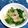 dober5's cooksnap of when they made 超簡単！レタス炒め.