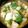 しまっシマ's cooksnap of when they made ズッキーニとツナの炒め煮.