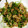かほたくhy's cooksnap of when they made 豆苗と豚肉炒め.