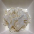 ゆんころ☆ママ's cooksnap of when they made ホタテ大根サラダ.