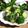 ladyoscar's cooksnap of when they made ピリリと食欲誘う＊胡瓜のからし酢漬け.