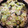 さどがら's cooksnap of when they made きゅうりとくらげの甘酢和え.