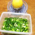 YUKIKI☆'s cooksnap of when they made レモンでサッパリ☆ネギ塩だれ.