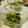 時花菜's cooksnap of when they made 我が家の定番＊小松菜辛子和え.
