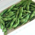 リルミン's cooksnap of when they made ルクエで手間なしおいしい枝豆♪.