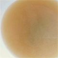 るいつー's cooksnap of when they made 簡単ヘルシー！しじみの味噌汁.