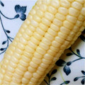 のあめろ♪'s cooksnap of when they made 簡単エコ＊とうもろこしの茹で方.