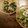 みかち♪'s cooksnap of when they made レンジde♡ほうれん草とじゃこのお浸し.