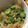 ずんこ！'s cooksnap of when they made 簡単一品♪おくら寒天.