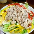 良飯好's cooksnap of when they made 裏ワザ！しっとりお肉の冷しゃぶサラダ.