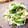 カエサルーン's cooksnap of when they made しらすの茗荷大葉和え.