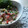 ママの小さなオフィス's cooksnap of when they made ✩おくらと長芋の梅肉和え✩.