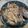 わたがしこ's cooksnap of when they made 真鯛の酒蒸し.