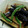 ミユワール♪'s cooksnap of when they made 茄子の揚げ浸し.