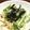 LDSE's cooksnap of when they made 長いもと水菜の梅サラダ.