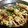 ともえどっとこむ's cooksnap of when they made もやしとえのきの豚肉巻き〜節約レシピ♡.