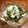 ぽんずー's cooksnap of when they made 簡単♪しらすのみぞれ酢の物.