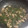 トマキャット's cooksnap of when they made 砂肝と切り昆布の炒め煮.