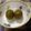 マルルル's cooksnap of when they made 超簡単！梅のサイダー煮.
