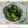ちょこ☆ちょこ's cooksnap of when they made もう一品☆きゅうりのゴマしょう油漬け.
