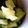ミユワール♪'s cooksnap of when they made やみつきおつまみきゅうり★大量消費★.