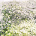 グランティラノス's cooksnap of when they made 万能ねぎの保存　冷凍♡.