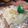 ちかべい's cooksnap of when they made クリスマス☆ミートローフ.