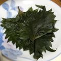 deko262007's cooksnap of when they made 大葉の大量消費保存に！塩漬け！.